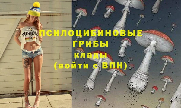 мдпв Алзамай