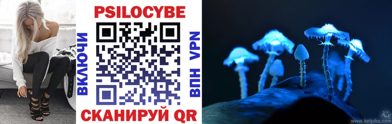 Псилоцибиновые грибы Psilocybine cubensis  Спасск-Рязанский 